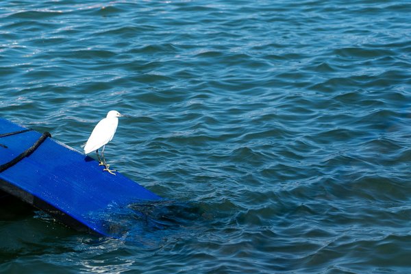 Escritospsicologicos